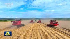 <strong>走出了一条色的粮</strong>